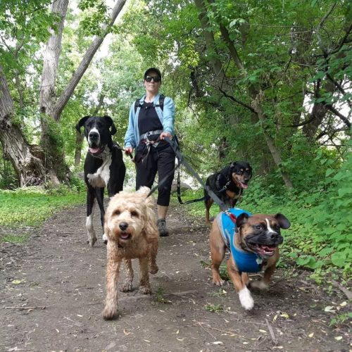 IMG 20220601 172343 559