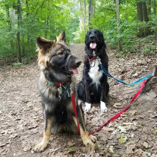 IMG 20220626 171305 904