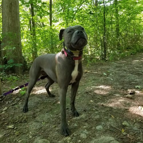 IMG 20220704 211657 757