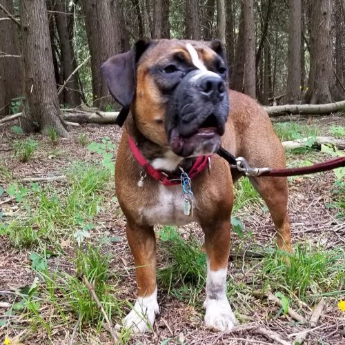 IMG 20220706 204428 123