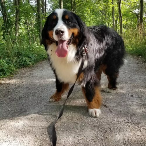 IMG 20220713 163058 325