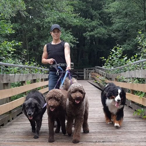 IMG 20220713 200256 780