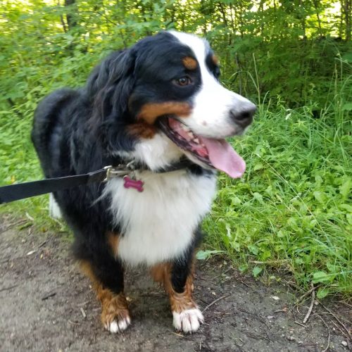 IMG 20220714 160149 203