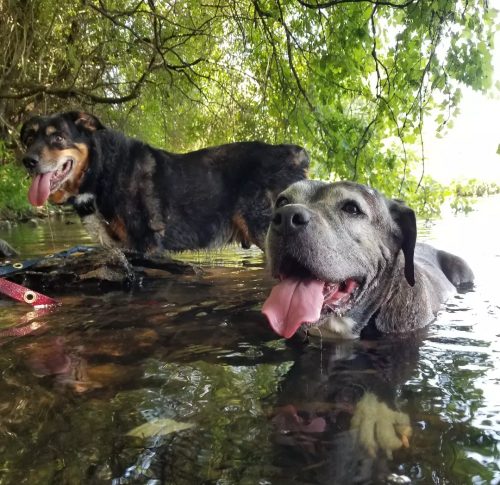 IMG 20220716 195641 826