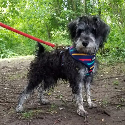 IMG 20220718 214124 741