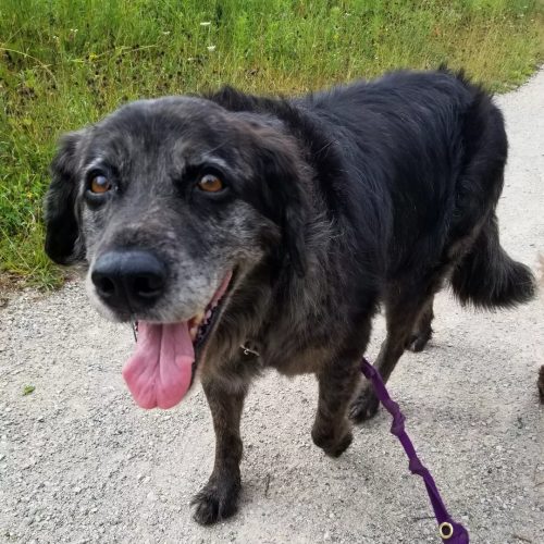 IMG 20220721 203859 328