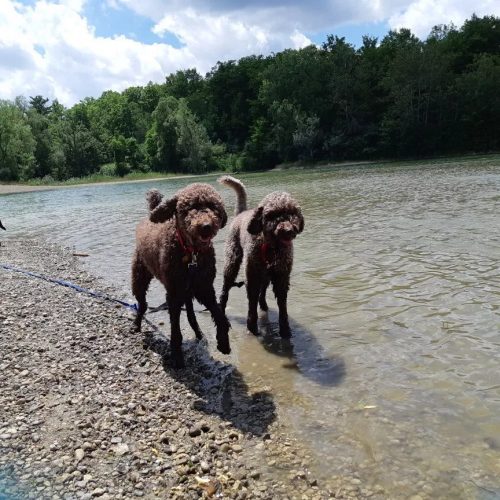 IMG 20220721 211701 838