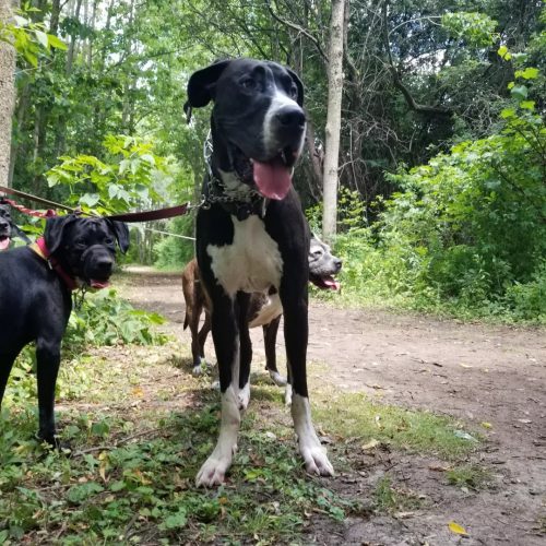 IMG 20220722 195900 785