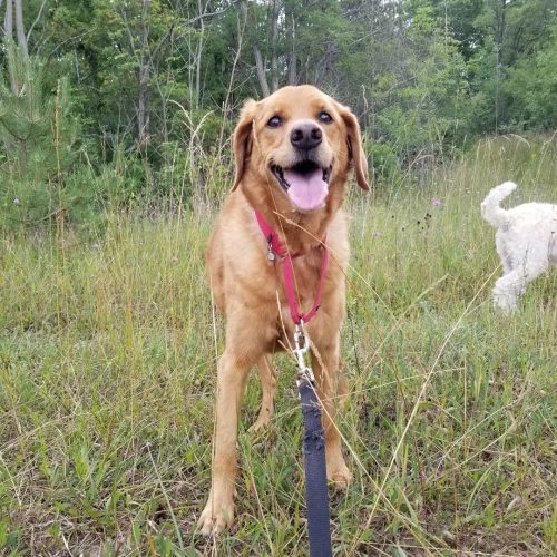 IMG 20220726 211228 531