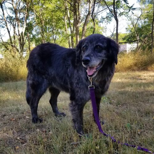 IMG 20220729 211513 774