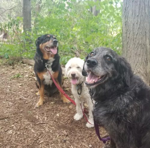 IMG 20220730 203805 382