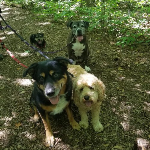 IMG 20220810 202514 511