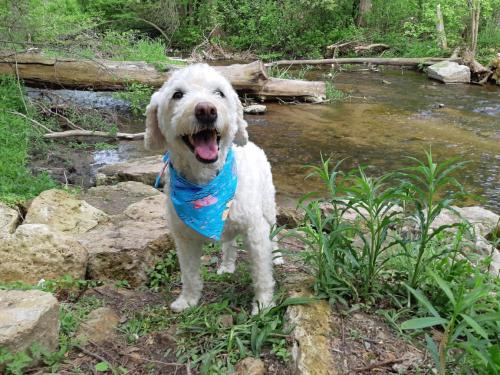 Resized 20220520 1658212