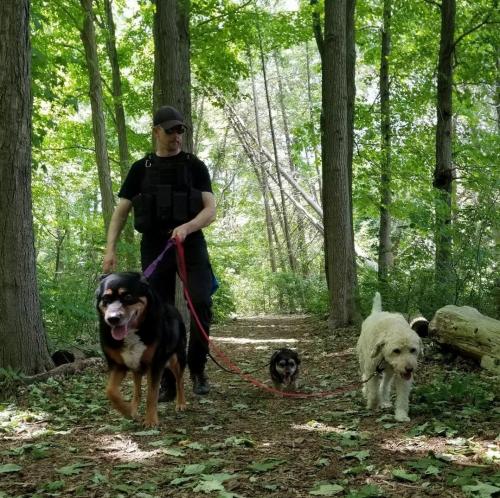 Resized Screenshot 20220603-193746 Instagram